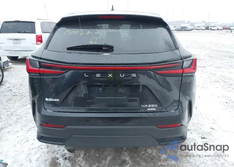 2022 Lexus Nx 250 z USA, uszkodzony, nr VIN JTJADCEZ4N5000222